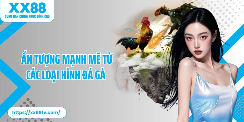 Ấn tượng mạnh mẽ từ các loại hình đá gà
